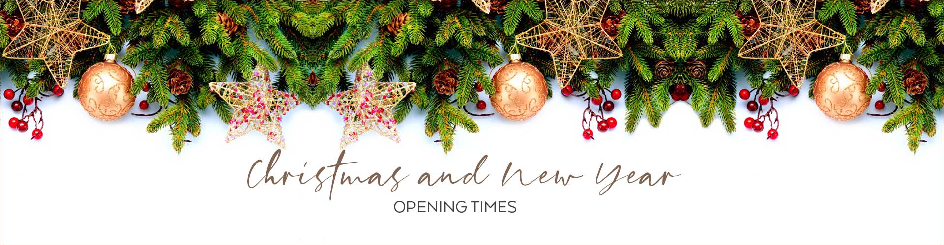 Christmas and New Year Opening Times Salon